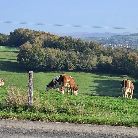 Holiday home Maison Pres D'aurillac - Monts Du Cantal *