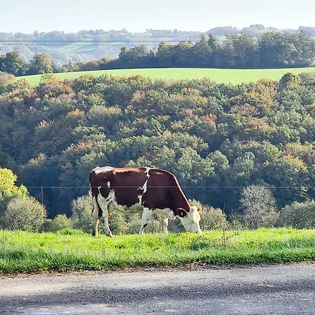 別荘 Maison Pres D'aurillac - Monts Du Cantal Ytrac